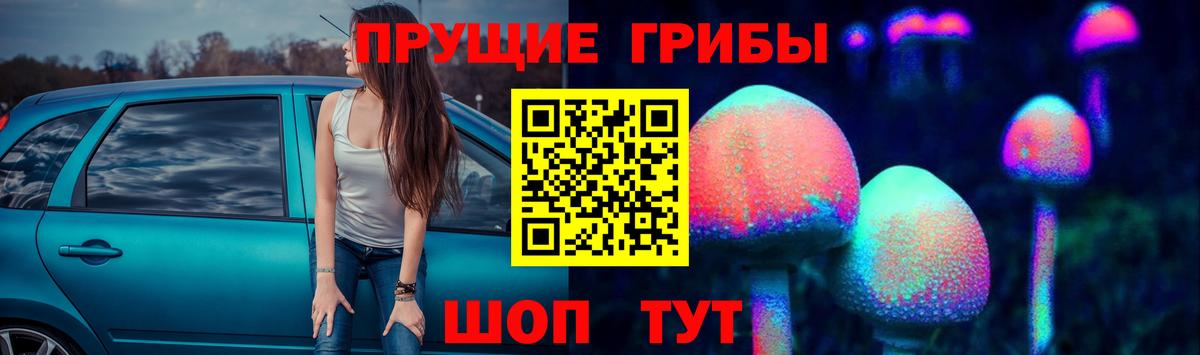 Кашира  Галлюциногенные грибы ЛСД  Вход с VPN 